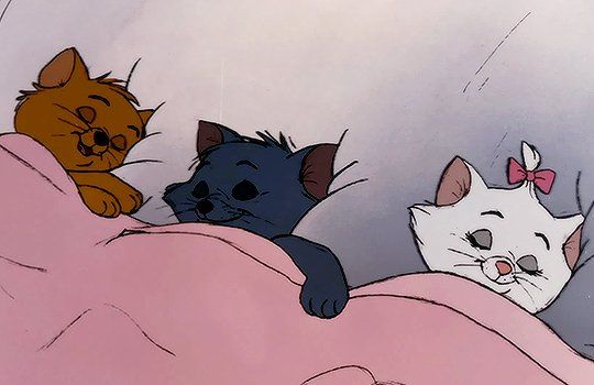 violett˚˖𓍢ִ໋🦢˚ tweet media