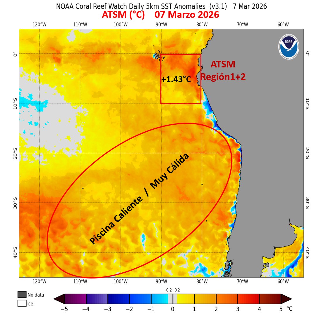 Mario___Ramirez's tweet image. 08/03/26   #ElNiño costero    #Región1+2       
#ATSM     

#Calentamiento  se mantiene  fortalecido+    
y  continúa en progreso.