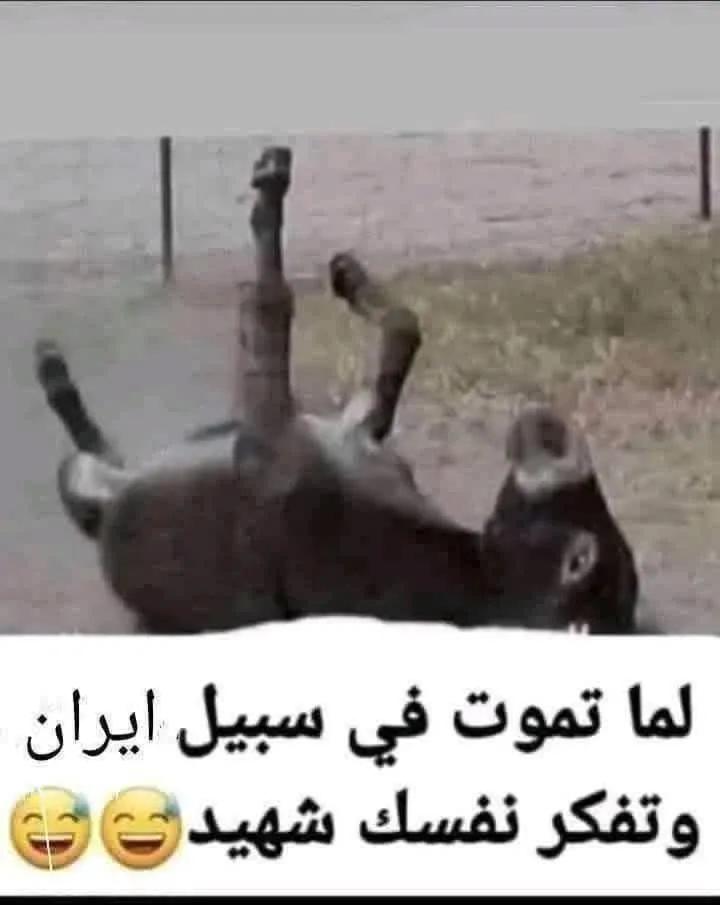 حال المحورجية ذيول #ايران 👇