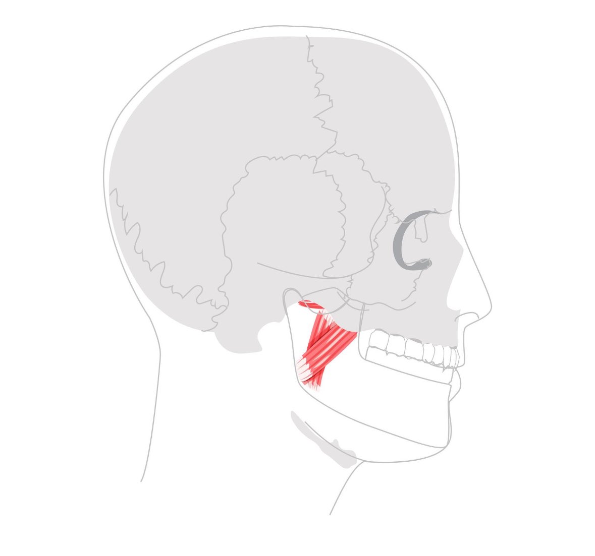 Mohammed Al-Shehri 🇸🇦 tweet media