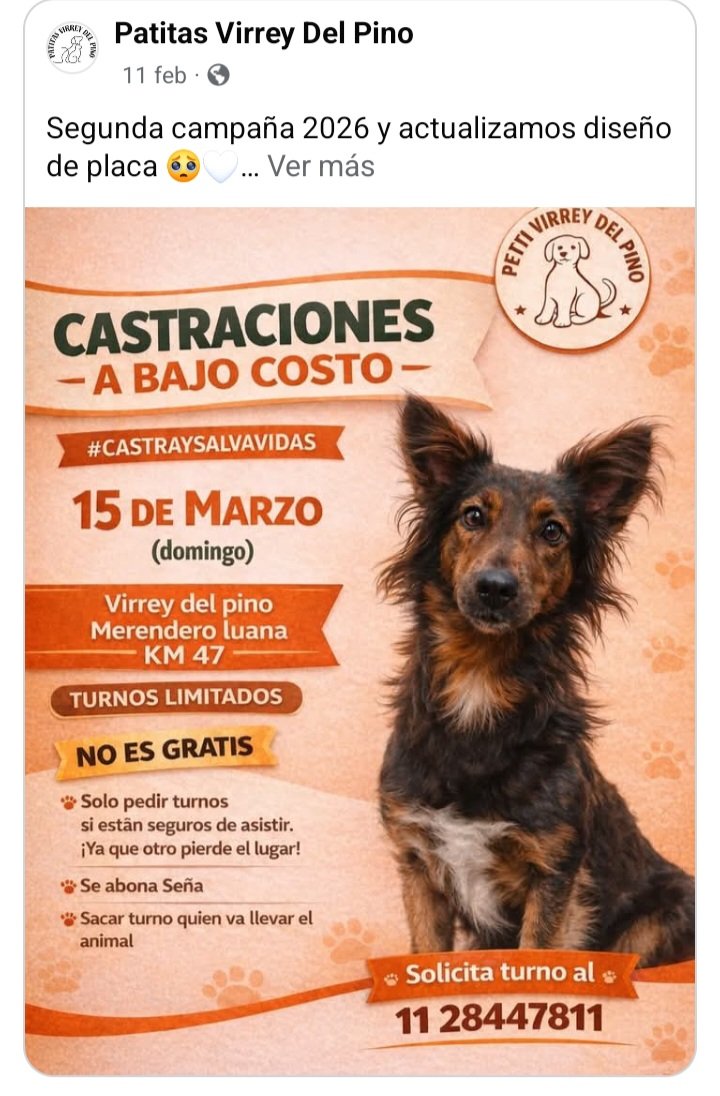 protegealanimal's tweet photo. LA MATANZA
#LAMATANZA #MATANZA #CASTILLO #LATABLADA #SANJUSTO #LOMASDELMIRADOR #LUZURIAGA #RAMOS #LAFERRERE #LAFE #VIRREYDELPINO #VDP #KM47 #ISIDROCASANOVA #VILLACELINA #CIUDADEVITA #GONZÁLEZCATÁN #MADERO #TAPIALES #ATALAYA #ALDOBONZI #ZONAOESTE #GRANBSAS #BSAS #CONURBANO https://t.co/mv46Xk9WjW