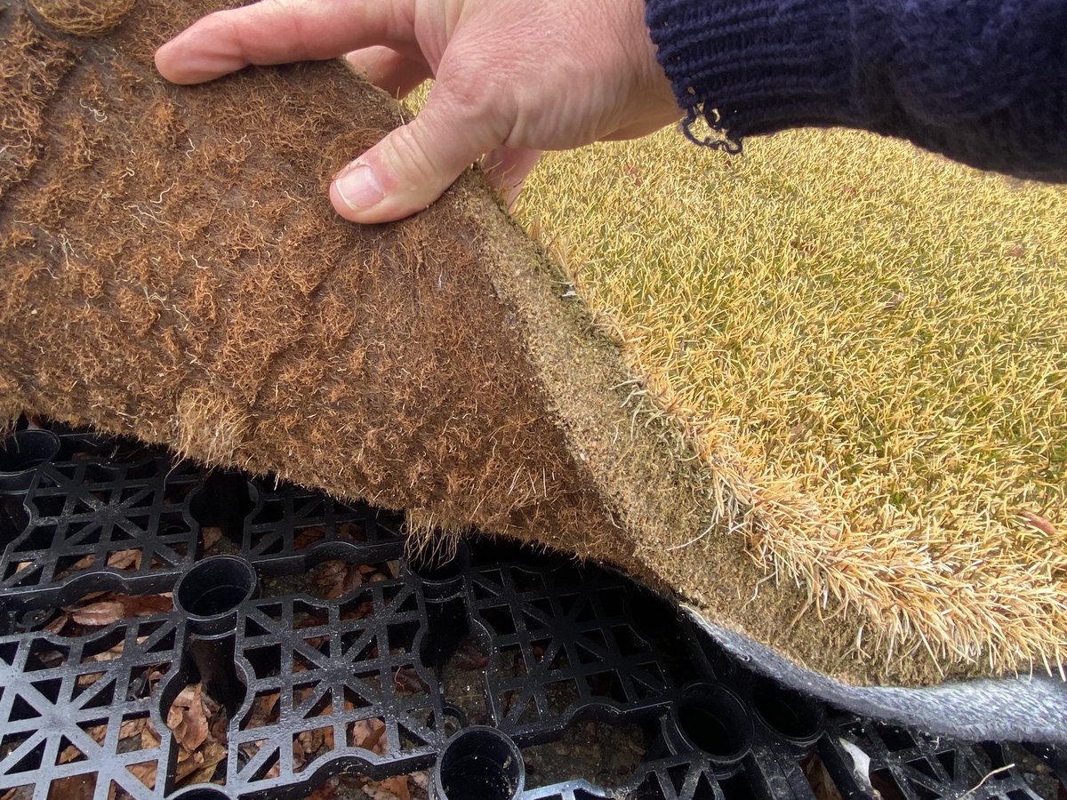 LHCC Grounds tweet media