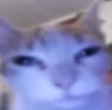 𝓀𝒶𝓎! tweet media