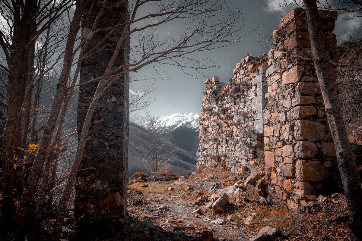 Temprysmo tweet media