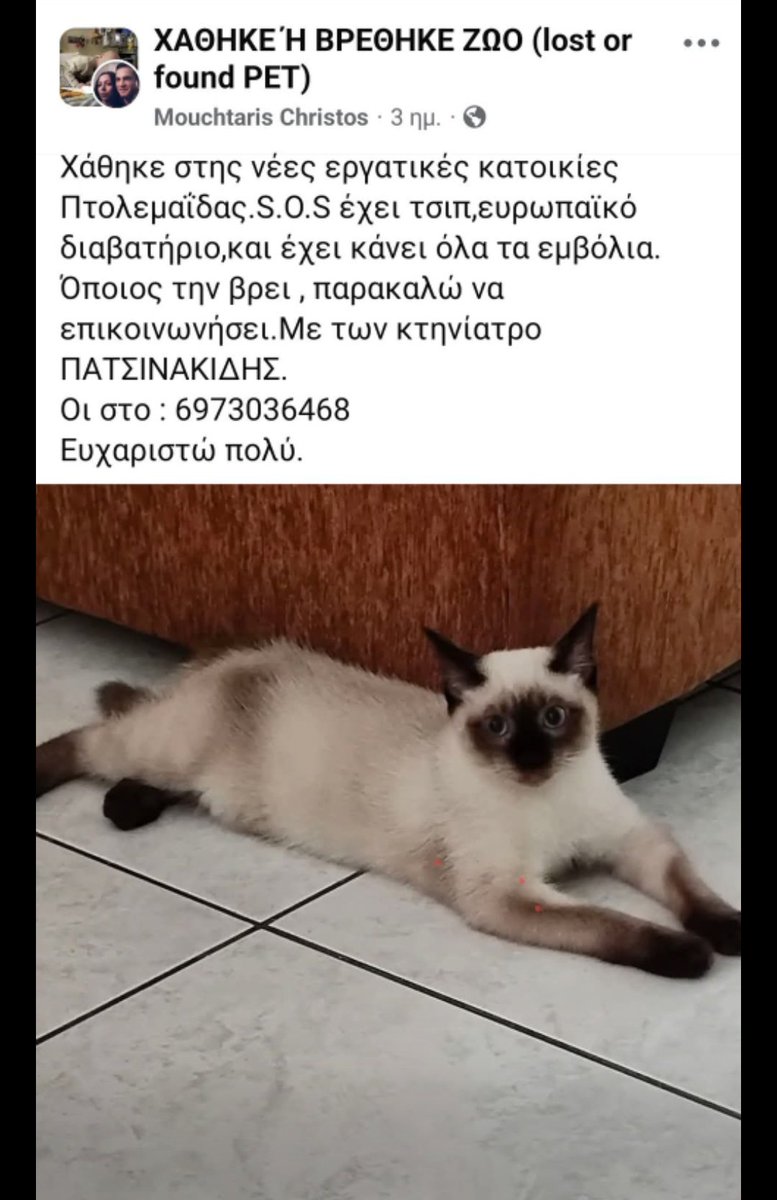 εφη απλα tweet media