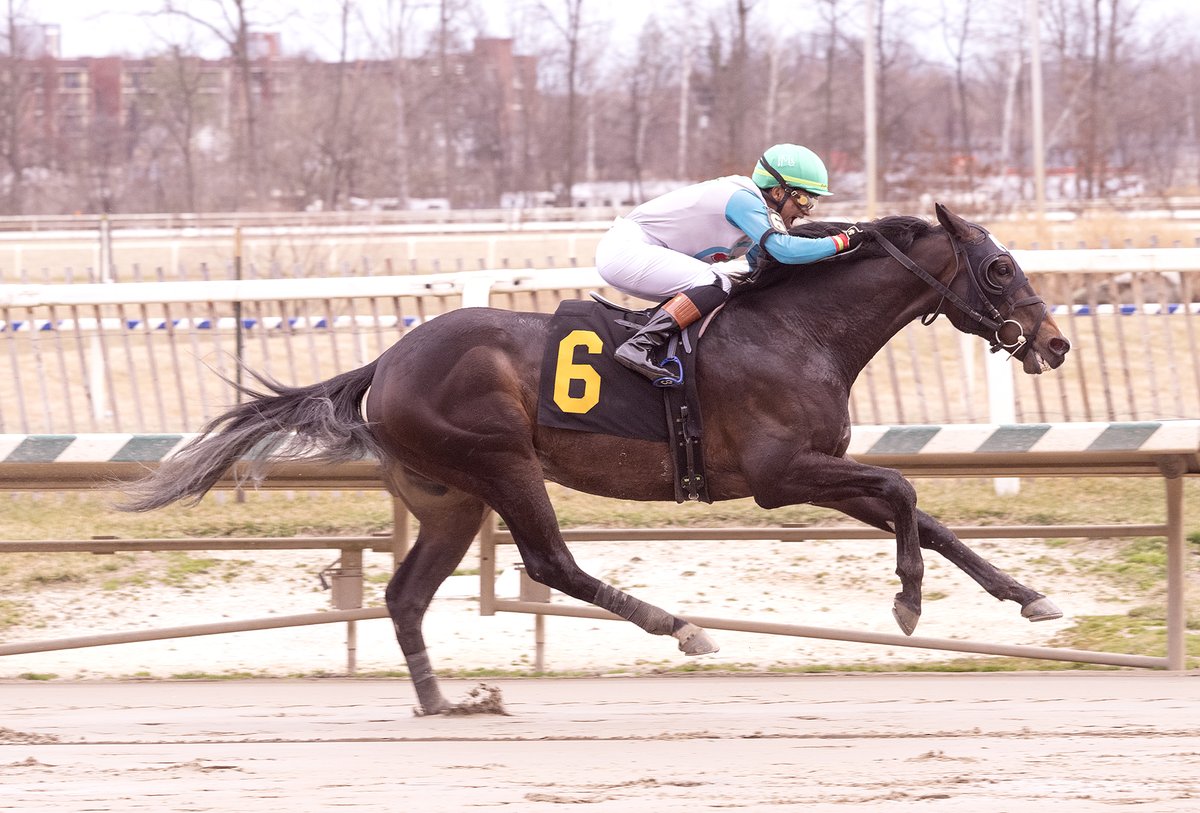 The Maryland Jockey Club, Inc. tweet media