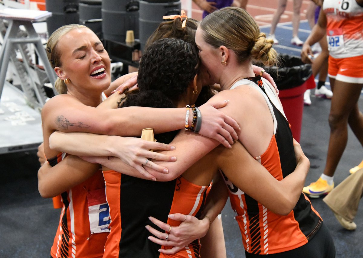 Andy McCallister tweet media