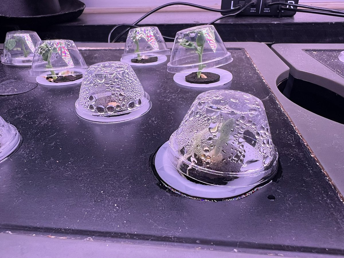 TESlibrary tweet media