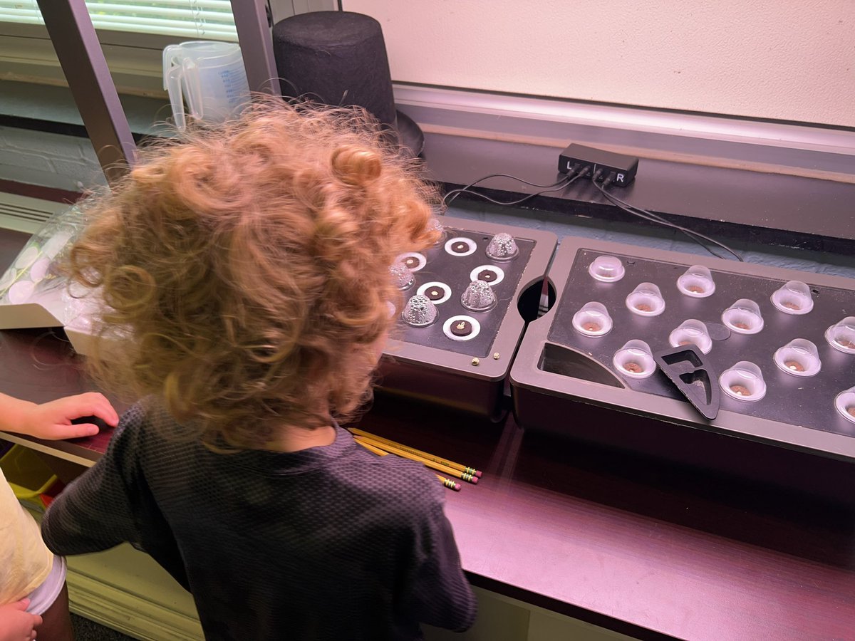 TESlibrary tweet media