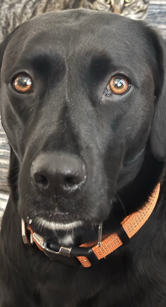 Update it was good note the drool