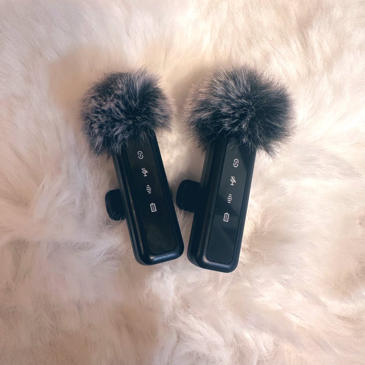 三浦麻美🎤🌸 tweet media