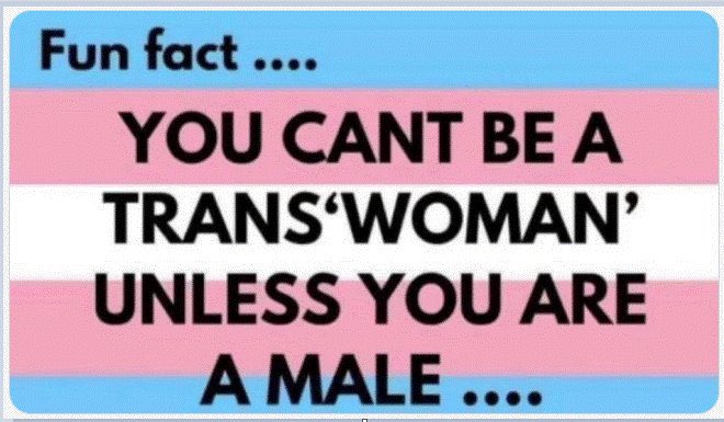 Lewis De Payne tweet media