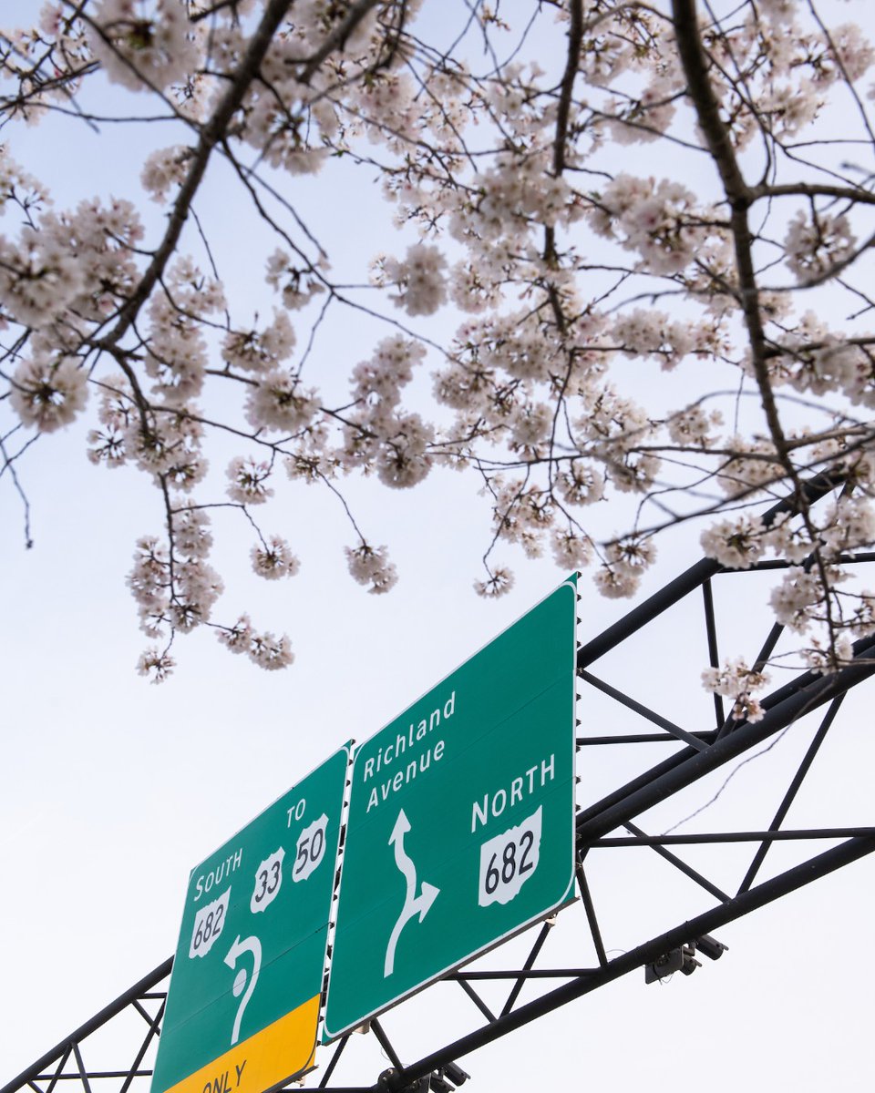 OHIO Scripps College tweet media