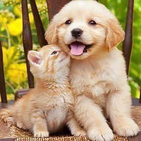 yunho supplier (@yuyunhos) on Twitter photo 