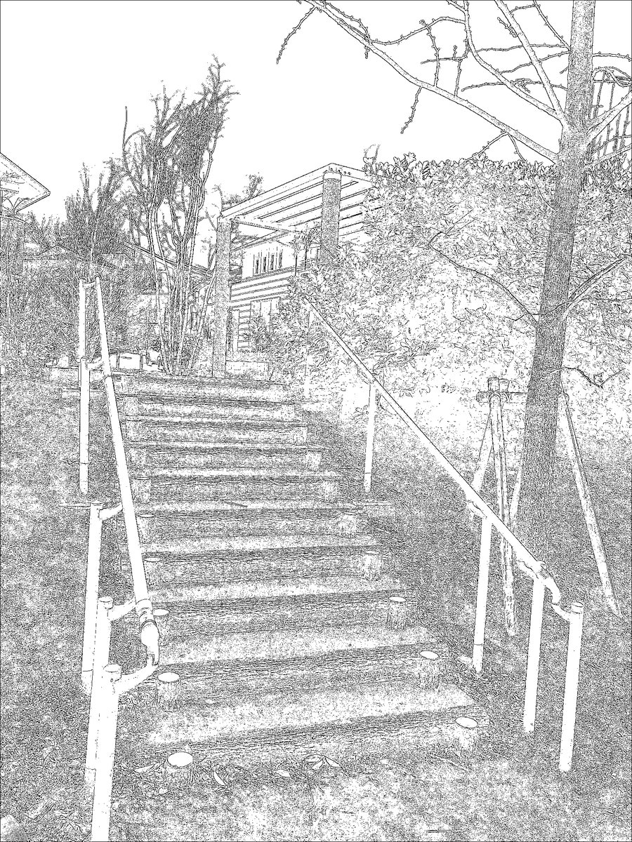 紅カラス tweet media