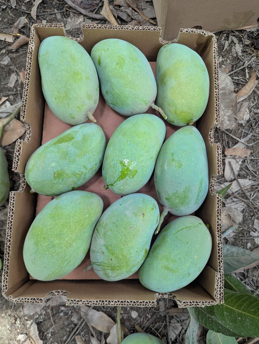 Muhammad Bilal tweet media