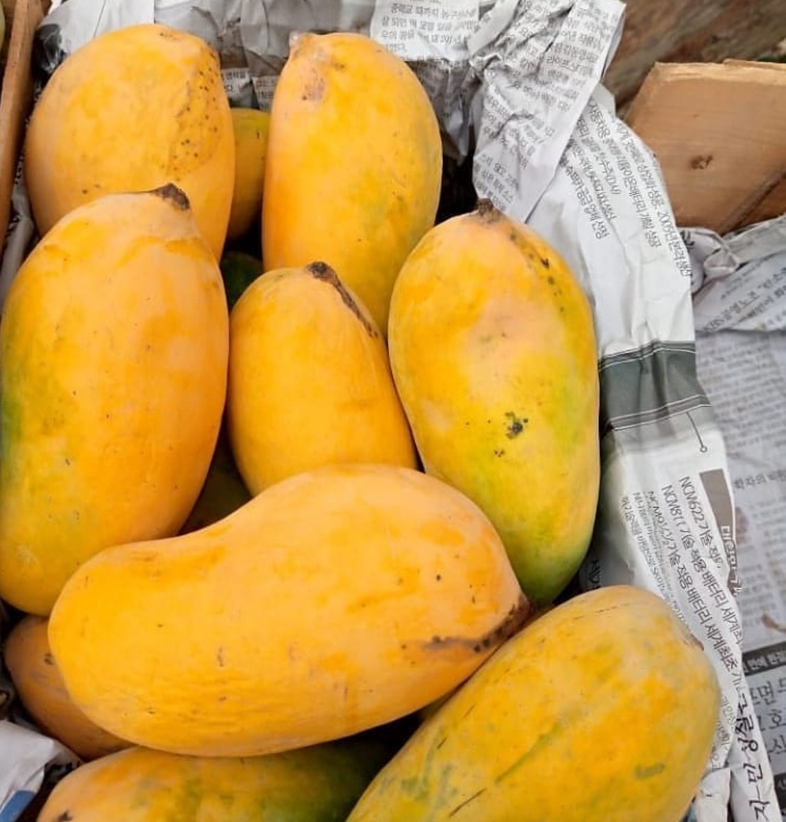 Muhammad Bilal tweet media