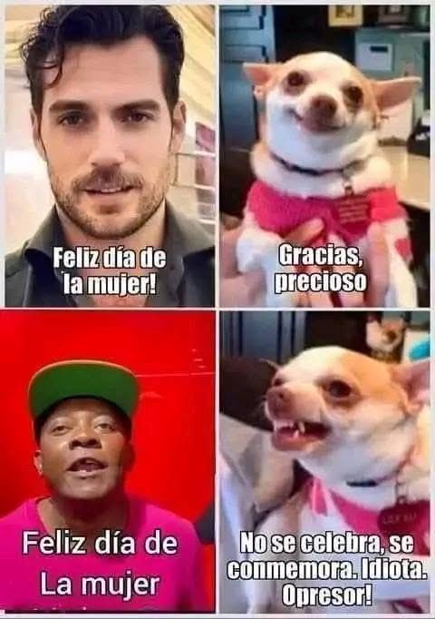 Feliz día preciosas…