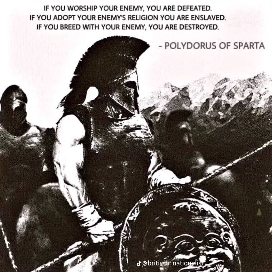 ░S░A░N░D░R░O░ tweet media