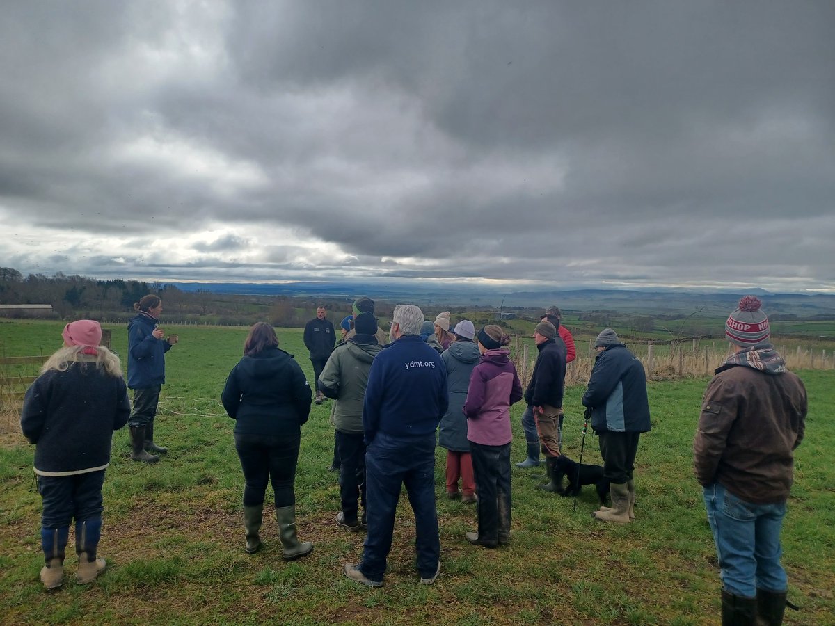 FavColour_Green's tweet photo. Then to Penrith where the Renisons farm delighted me

8km newly planted hedge, some had already had its maiden lay, and all establishing incredibly well given its 800m above sea level!

The brilliant Peter Gibson (4 times grand national champion hedgelayer) joined us too https://t.co/m8TzUMkUSX