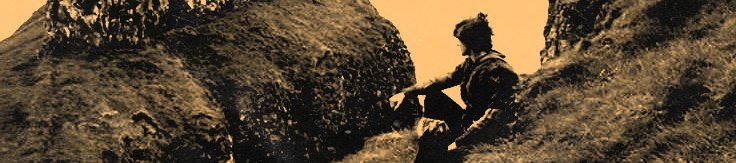 ☀️ ◟ ＊ fluorescent adolescent. tweet media