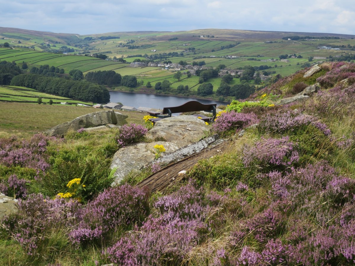 TheCityVent tweet media