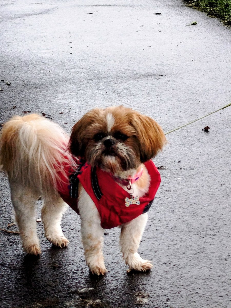 Bella🇬🇧 tweet media