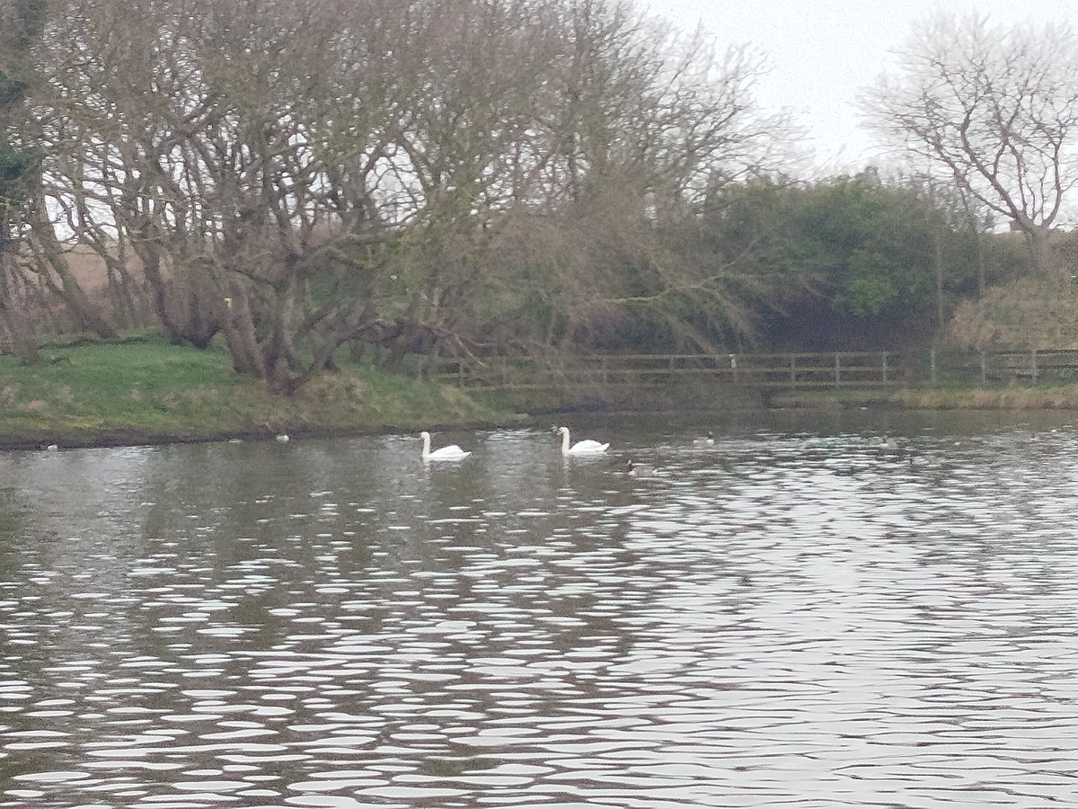 Bella🇬🇧 tweet media