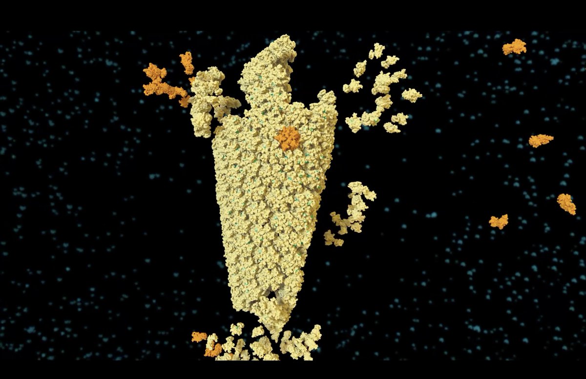 rcsb pdb 💉🧬💻🔬💊🌱🧠🦠 tweet media