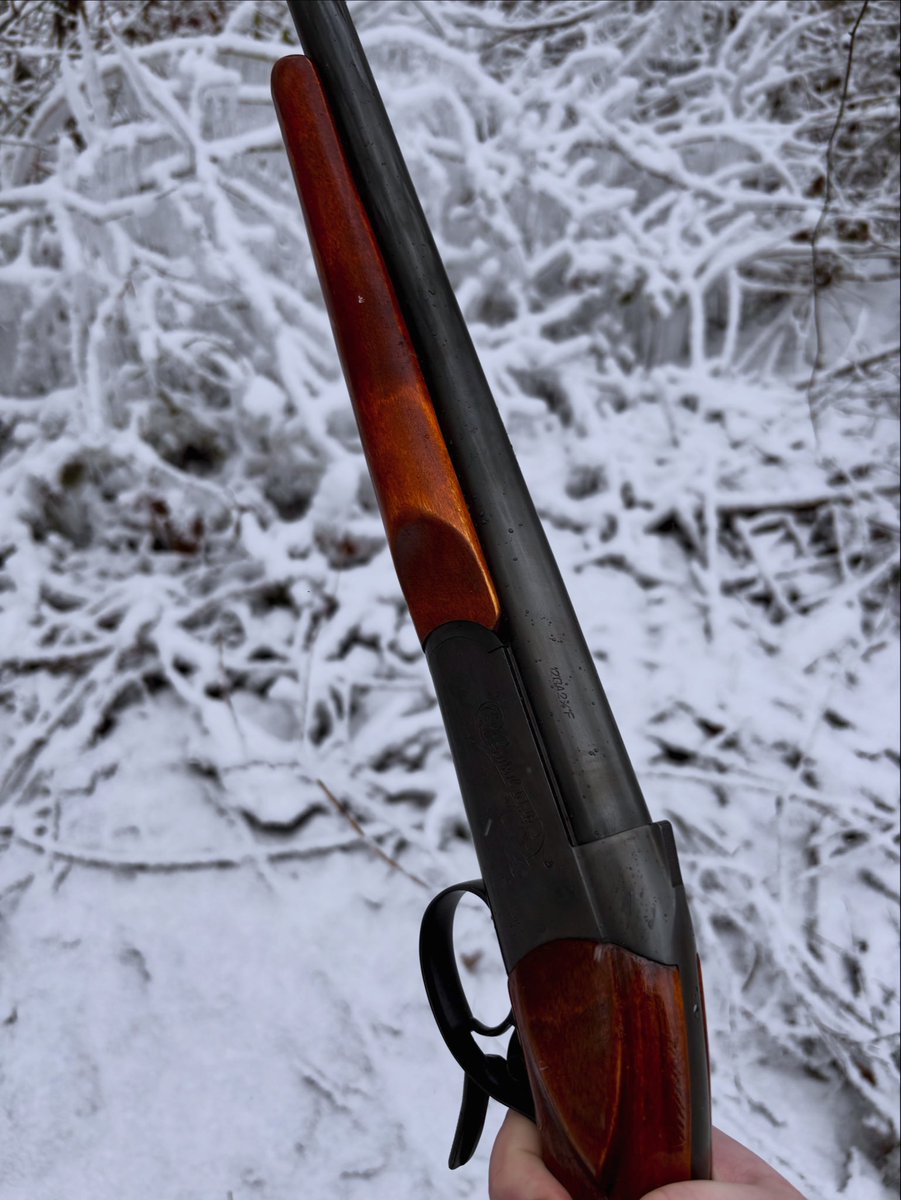 𝐂𝐚𝐛𝐚𝐧𝐞𝐥 tweet media