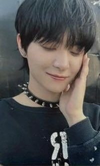 🤍🐈‍⬛ tweet media