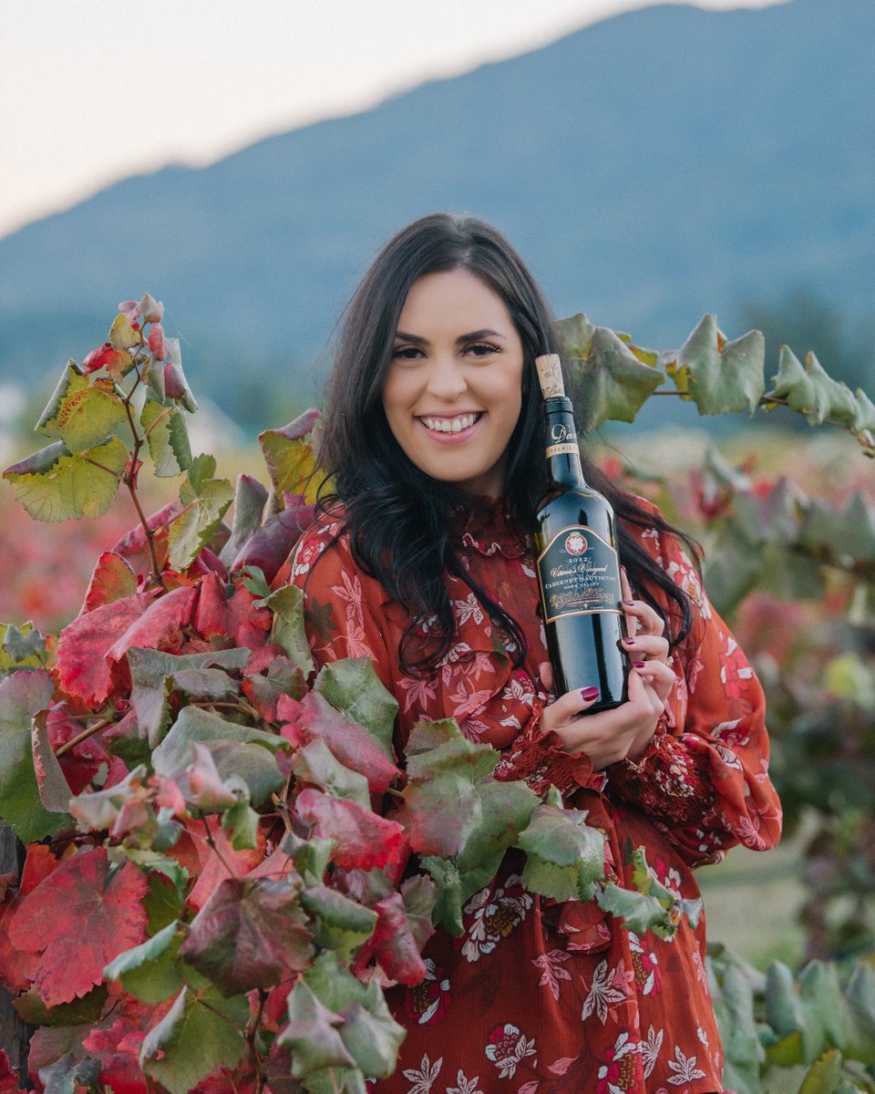 V. Sattui Winery tweet media