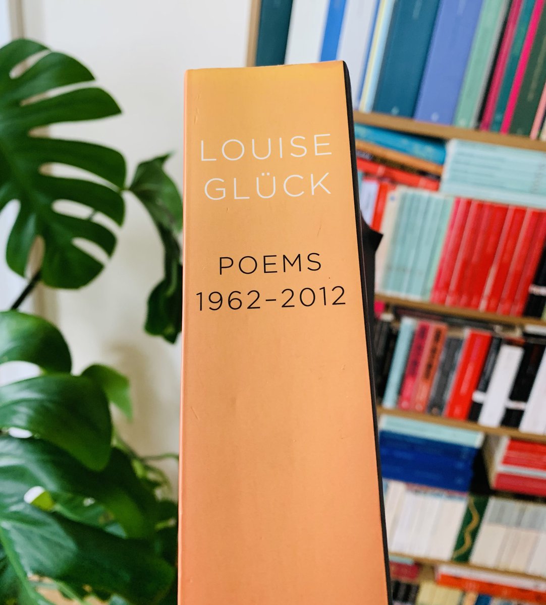 Dr David Vernon tweet media