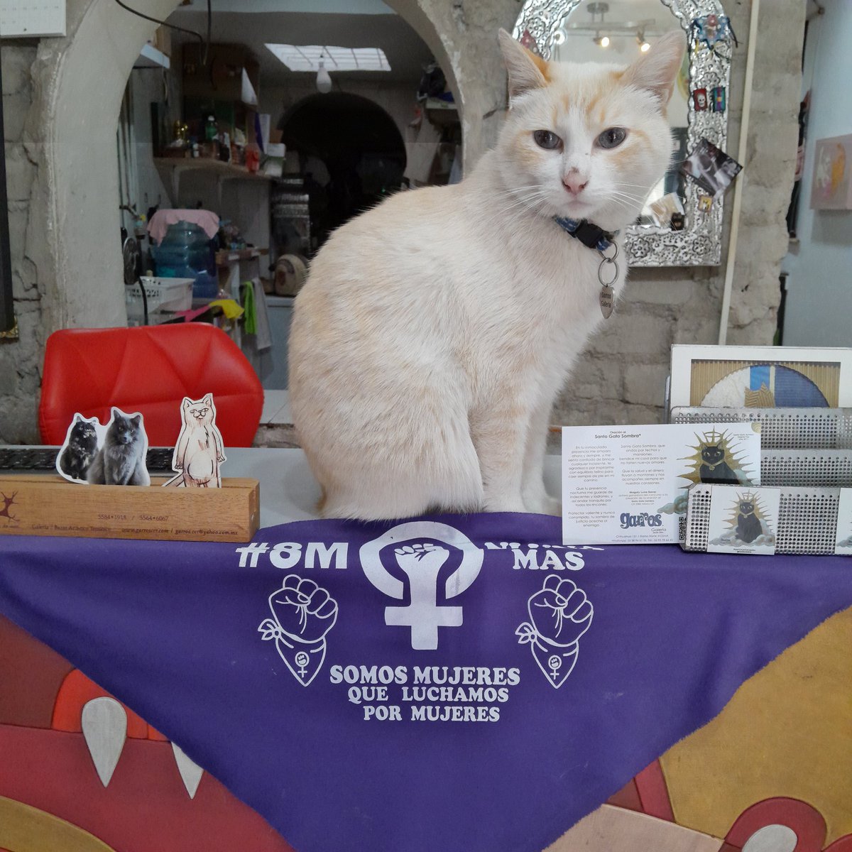 Garros Todo en Gatos tweet media