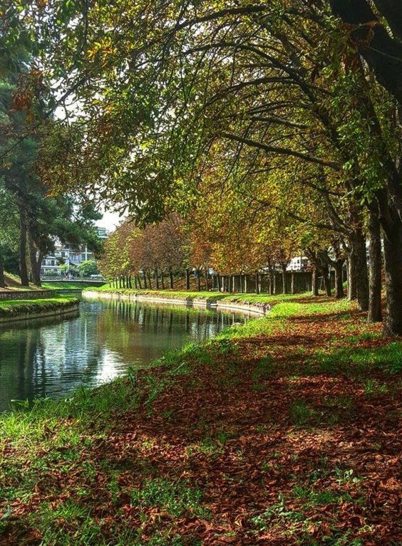 Καληνύχτεεεεεεες 
Ποταμός λιθαιος, Τρίκαλα.