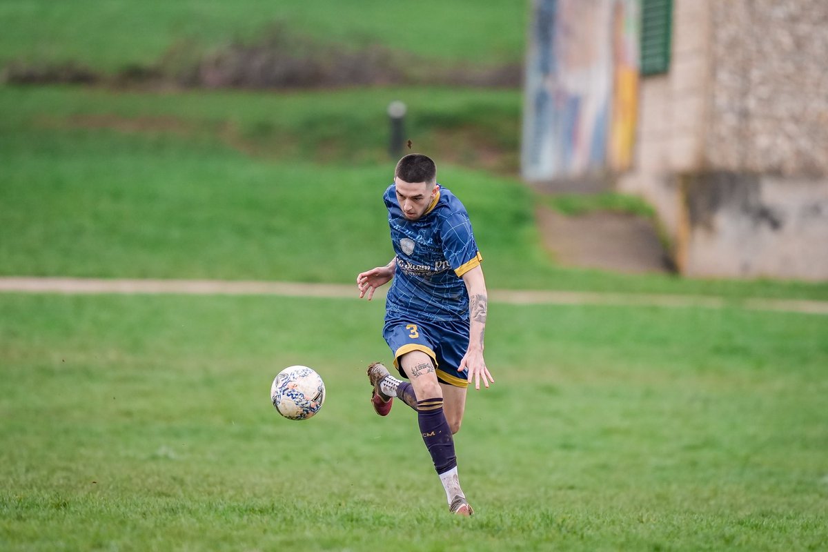 Camera Maynard tweet media