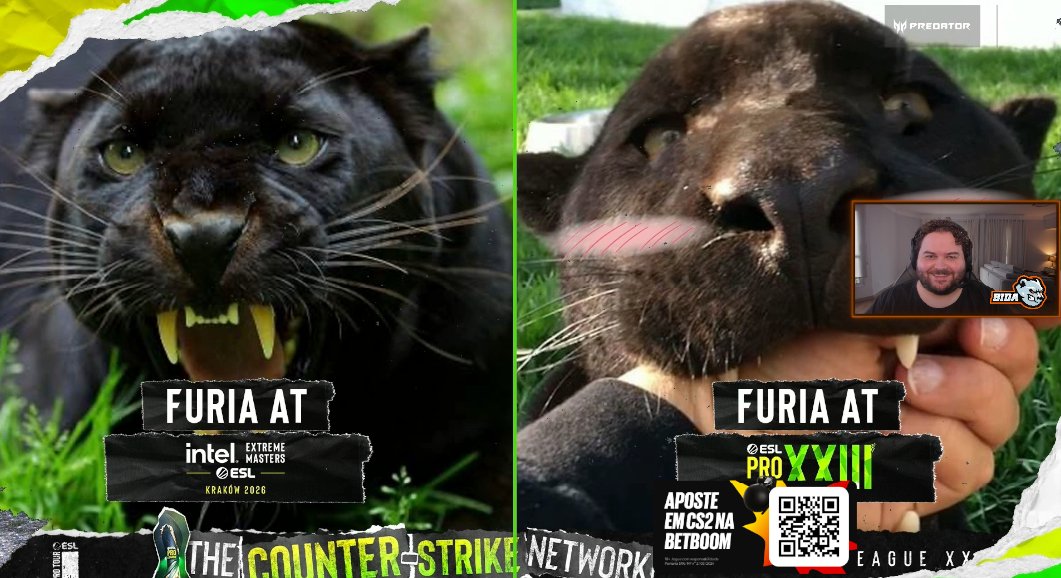 Bernardo 'BiDa' Moura tweet media