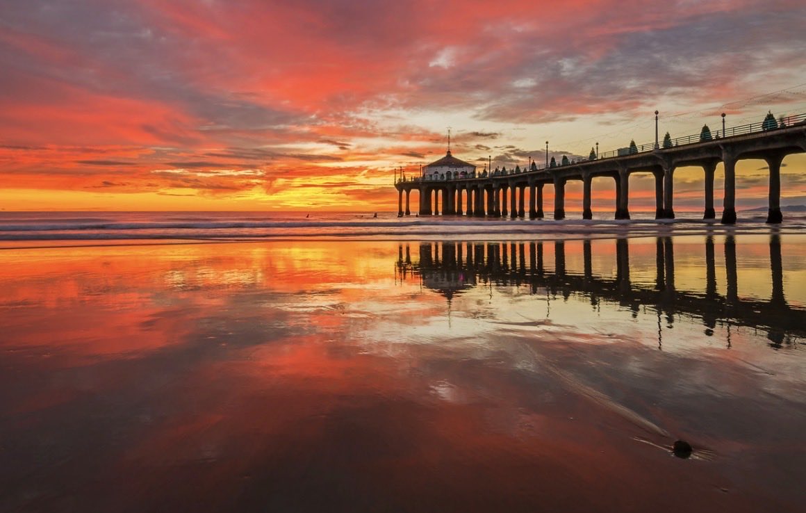 Brandon Yoshizawa tweet media