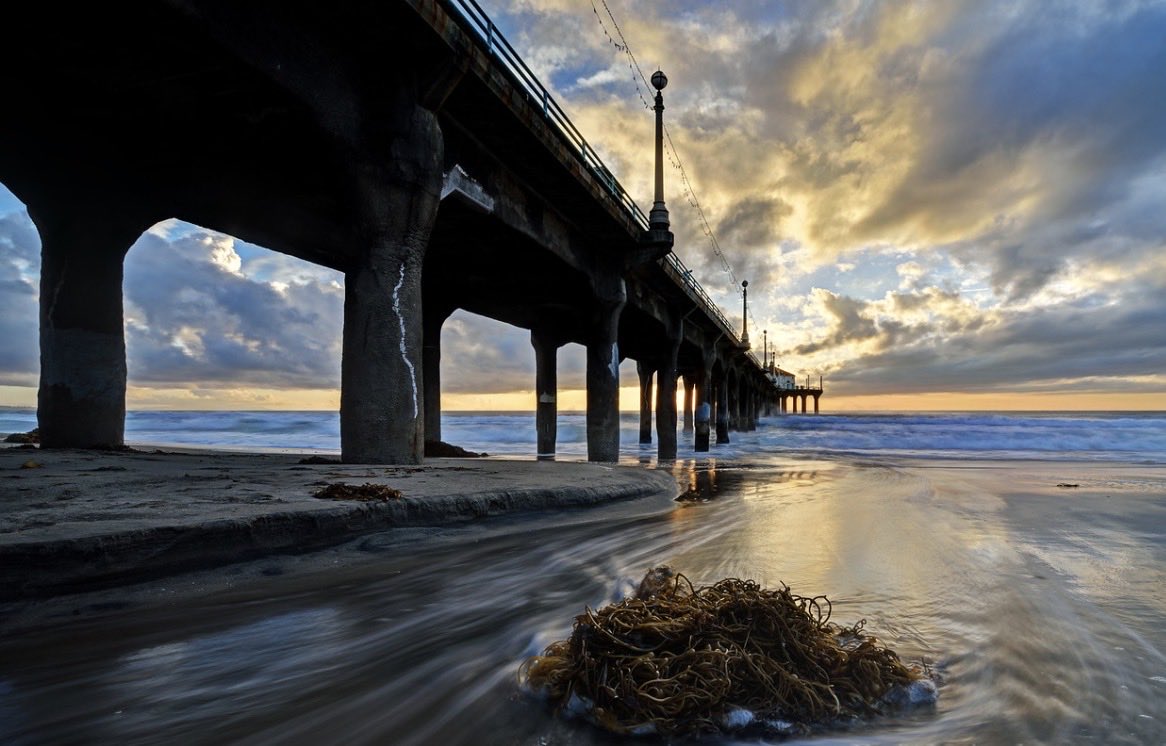 Brandon Yoshizawa tweet media