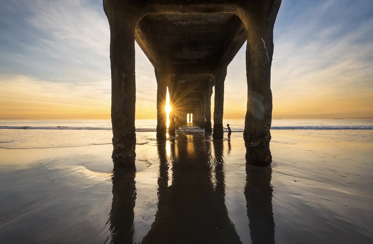 Brandon Yoshizawa tweet media