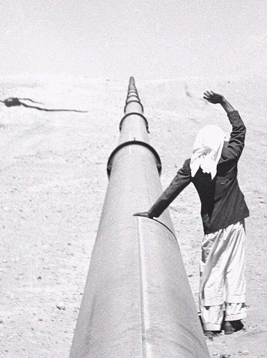 فاطِمه tweet media