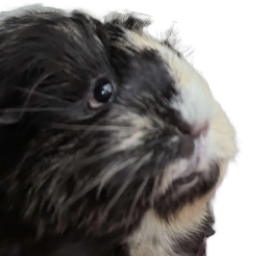 ThatAverageJoe tweet media