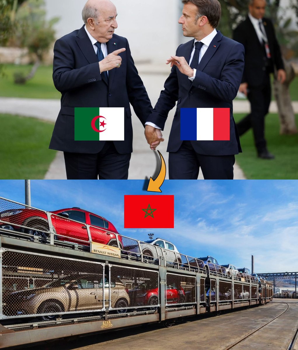 المحارب المغربي 🇲🇦⚡ tweet media