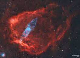 Abyss & Apex Magazine tweet media