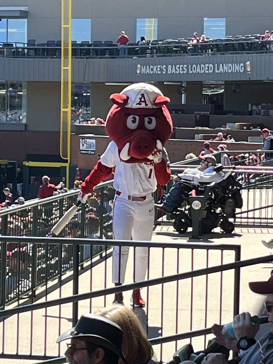 Ribby 🐗⚾️ tweet media