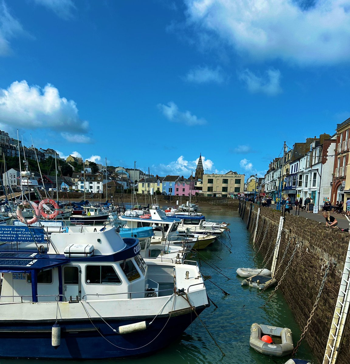 💜VioletMistyBlu💜 tweet media