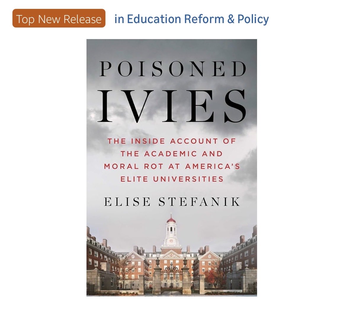 Elise Stefanik tweet media