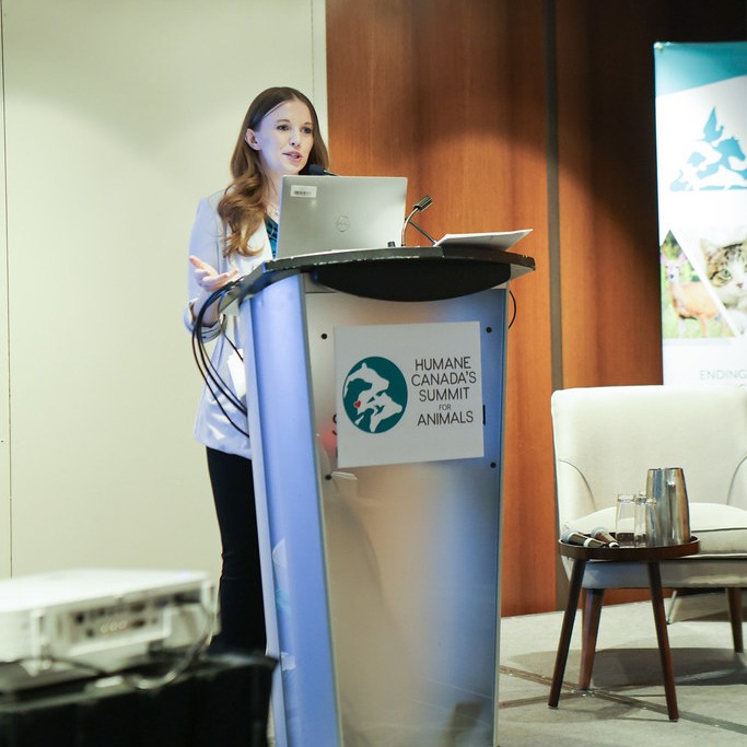 Edmonton Humane Society tweet media