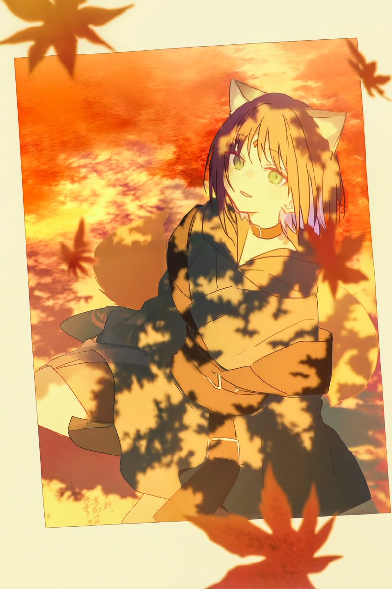 腐朽的书 tweet media