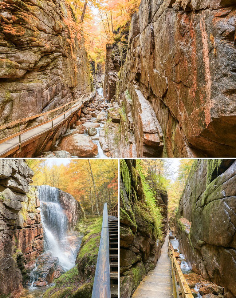 Granite Stater 🇺🇸 tweet media